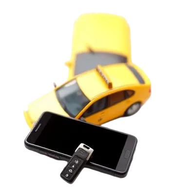 Transport